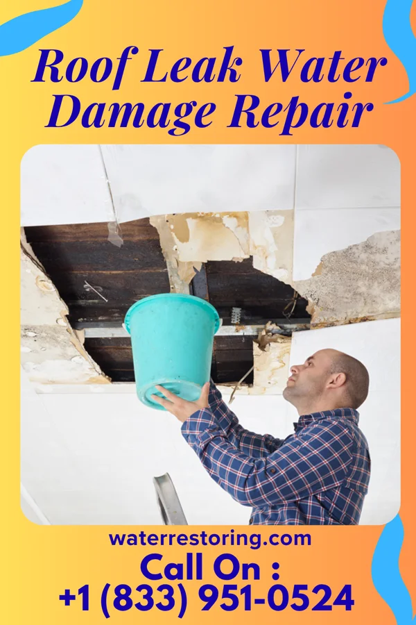 Roof Leak Water Damage Repair in Morland, KS